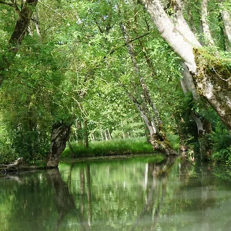 Un Trois Etoiles Entre La Rochelle Et Les Marais Poitevin *