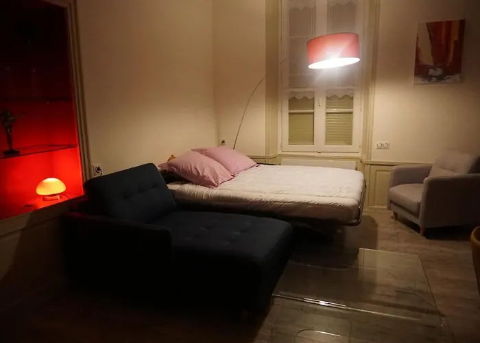 Un Trois Etoiles Entre La Rochelle Et Les Marais Poitevin * Marans (Charente-Maritime)