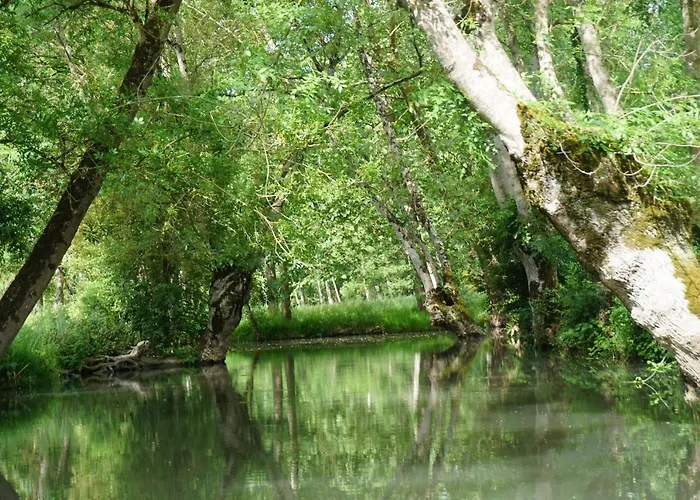 Un Trois Etoiles Entre La Rochelle Et Les Marais Poitevin *